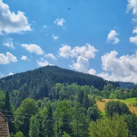 Apartment Am Sommerrain *