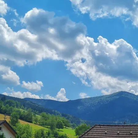 Am Sommerrain Daire *